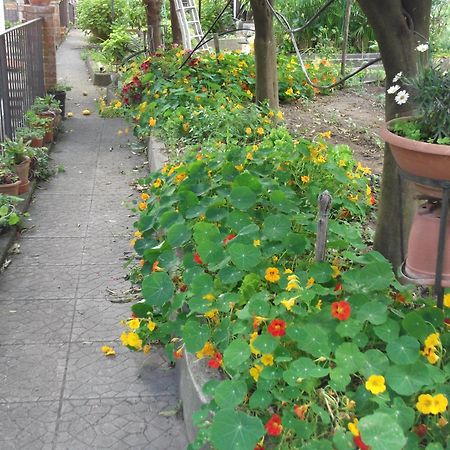 Le Mimose Villa Vietri Екстериор снимка