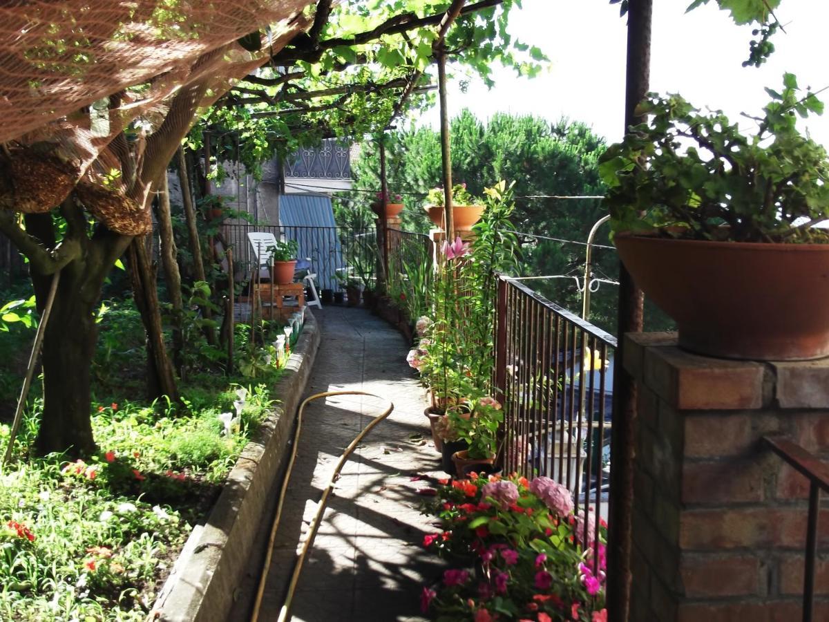 Le Mimose Villa Vietri Екстериор снимка