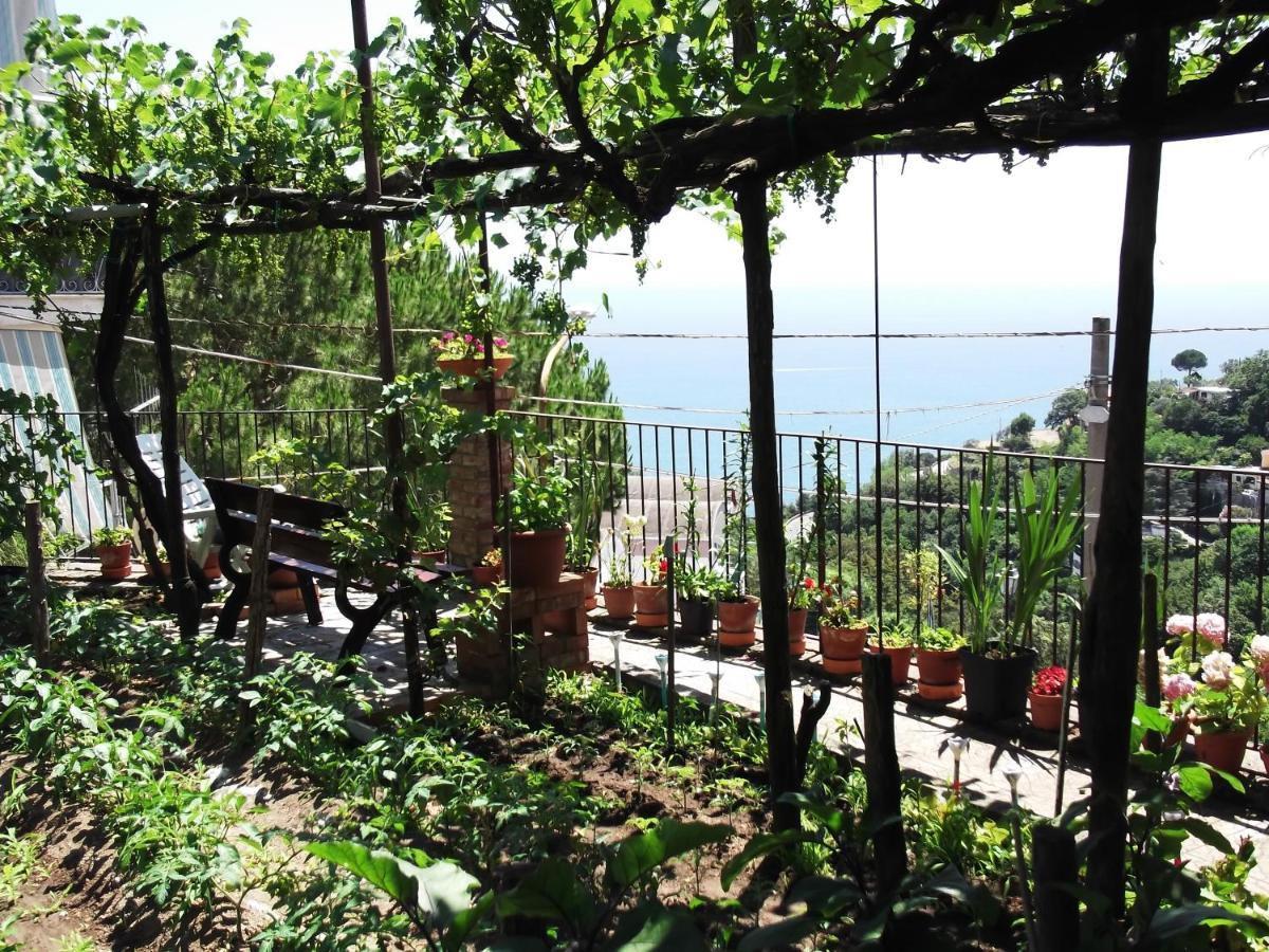 Le Mimose Villa Vietri Екстериор снимка