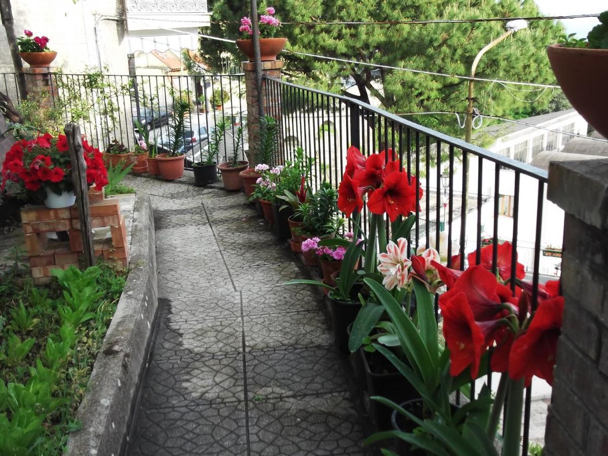 Le Mimose Villa Vietri Екстериор снимка