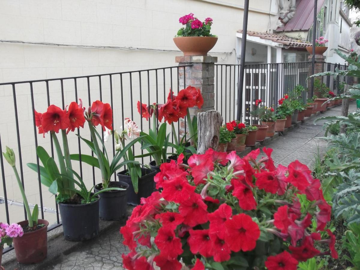 Le Mimose Villa Vietri Екстериор снимка