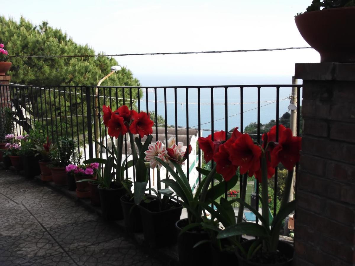 Le Mimose Villa Vietri Екстериор снимка