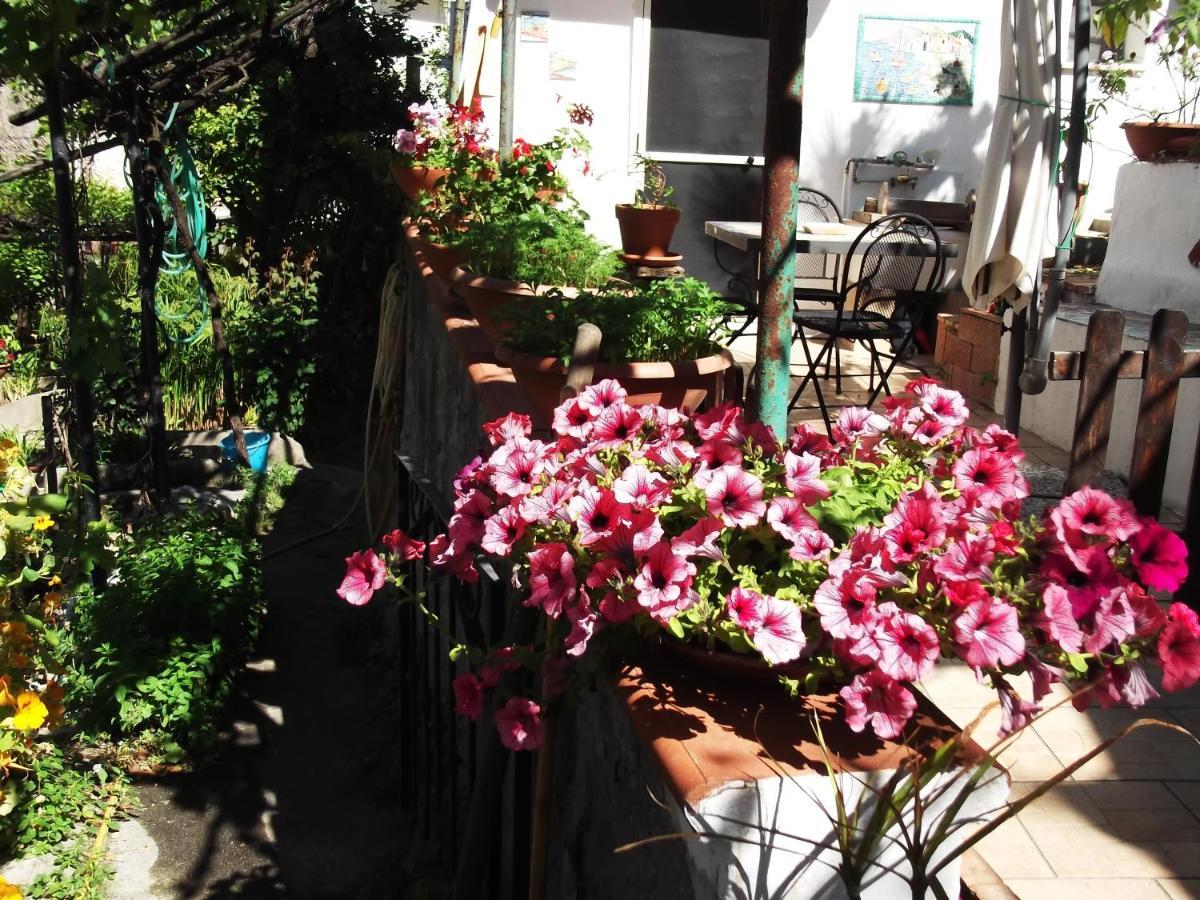 Le Mimose Villa Vietri Екстериор снимка