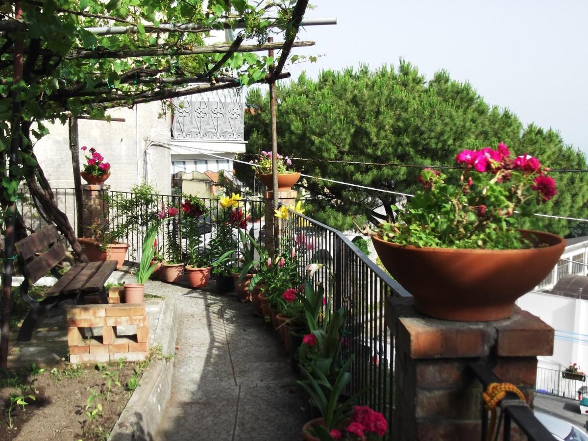 Le Mimose Villa Vietri Екстериор снимка