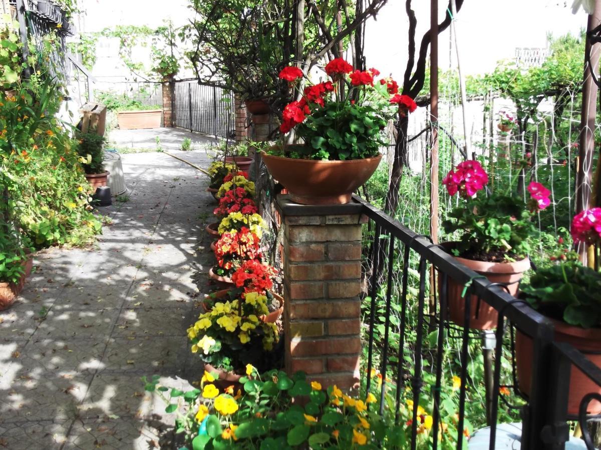 Le Mimose Villa Vietri Екстериор снимка