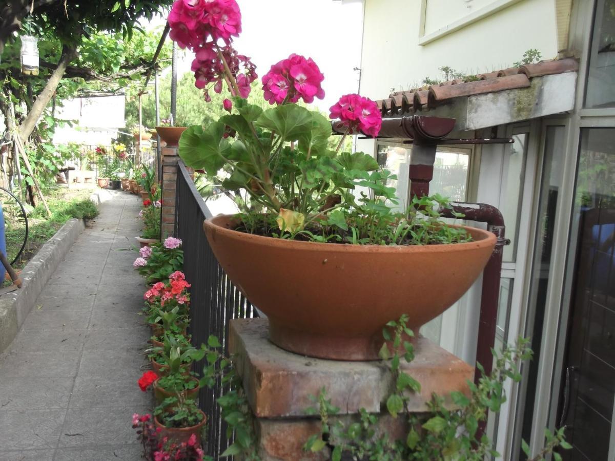 Le Mimose Villa Vietri Екстериор снимка