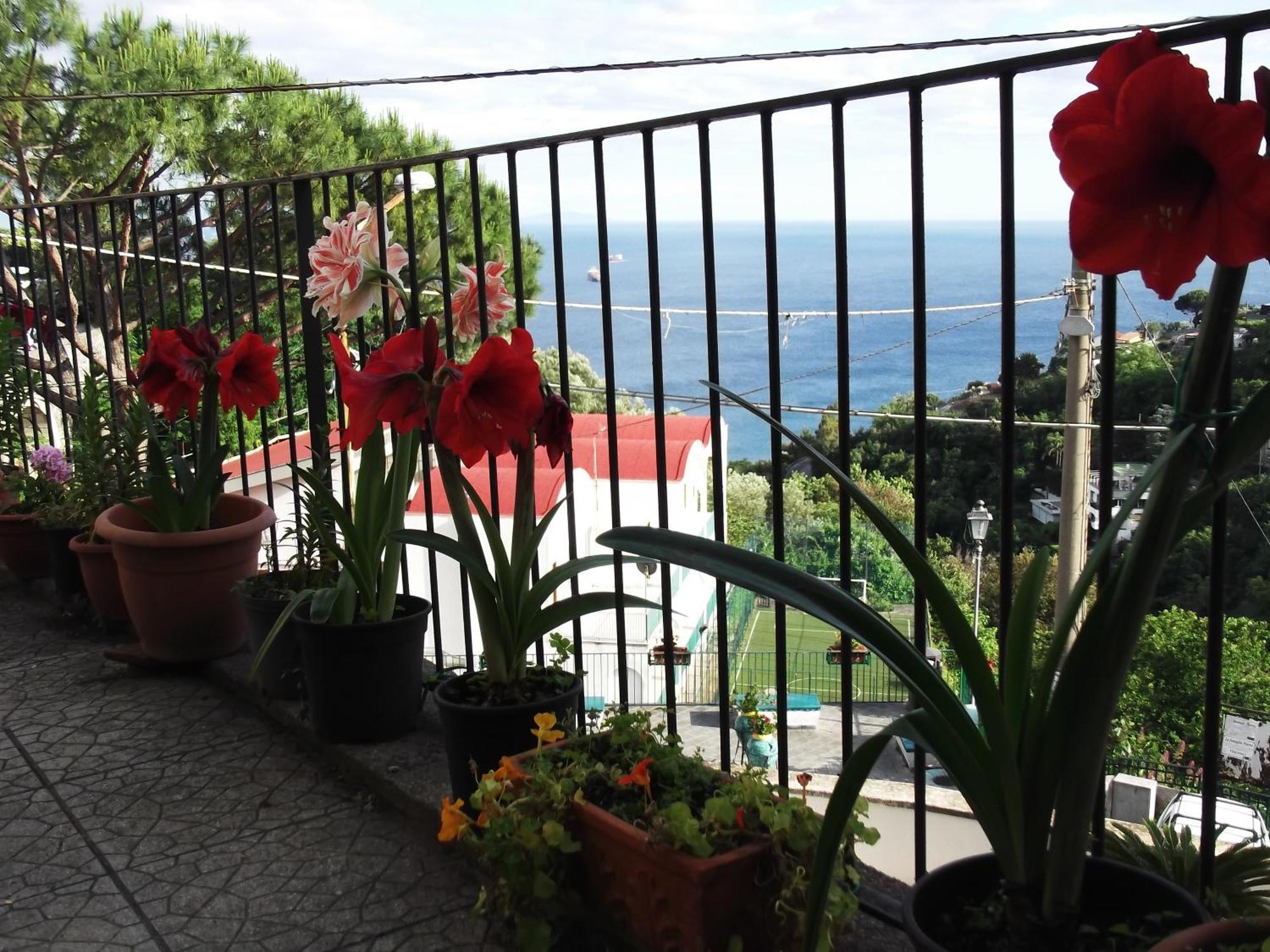 Le Mimose Villa Vietri Екстериор снимка