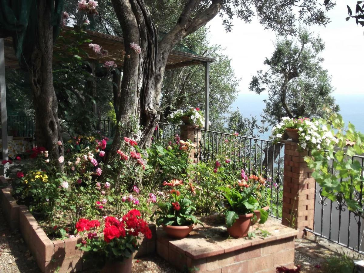 Le Mimose Villa Vietri Екстериор снимка