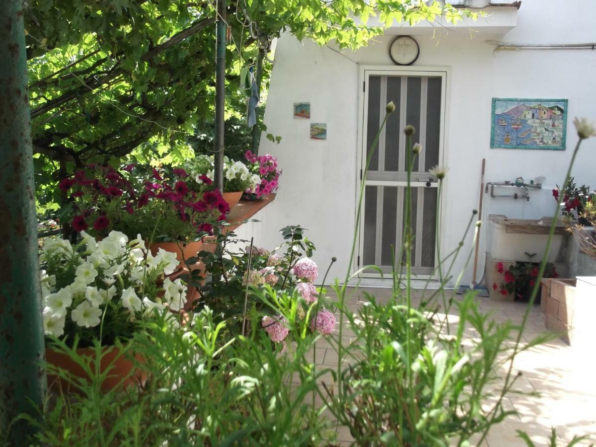 Le Mimose Villa Vietri Екстериор снимка