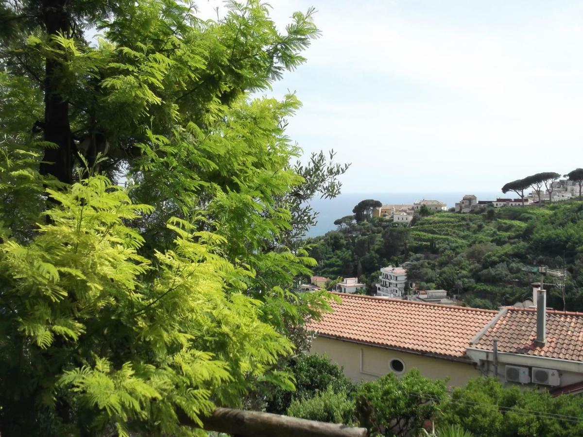 Le Mimose Villa Vietri Екстериор снимка