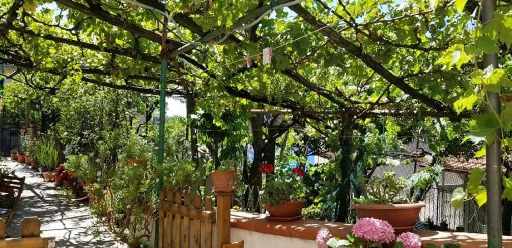Le Mimose Villa Vietri Екстериор снимка